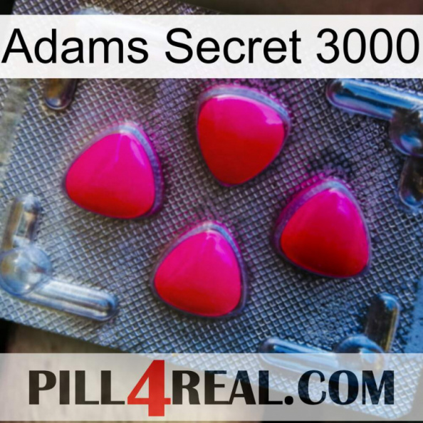 Adams Secret 3000 13